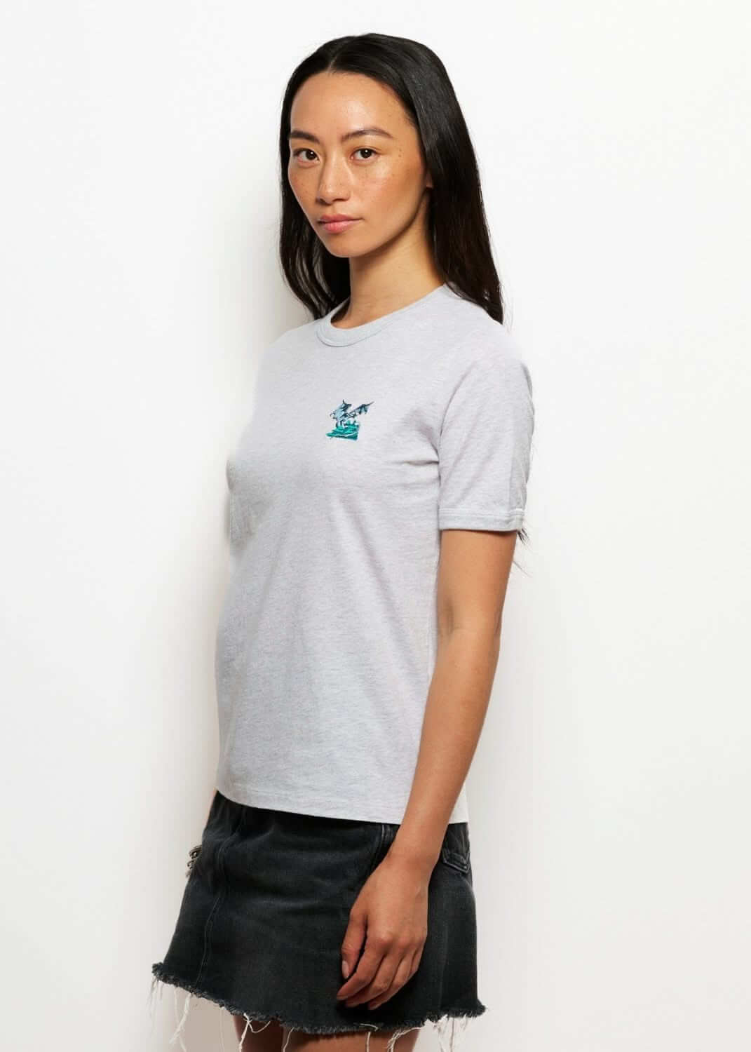 Tshirt fantaisie brode gris pour femme avec broderie dragon, photo de profil