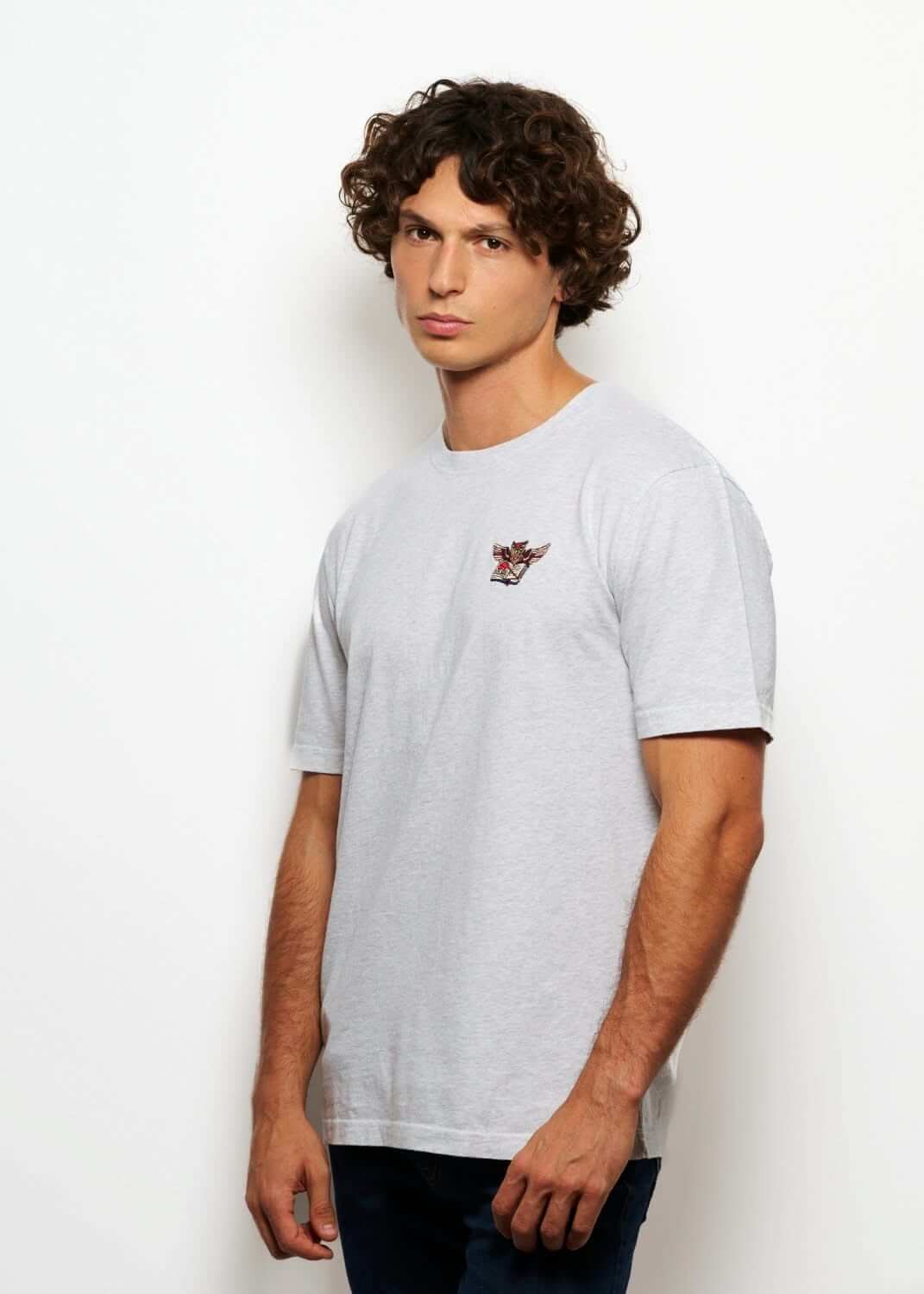 T shirt fantasy brodé gris clair pour homme avec broderie hibou, photo de profil