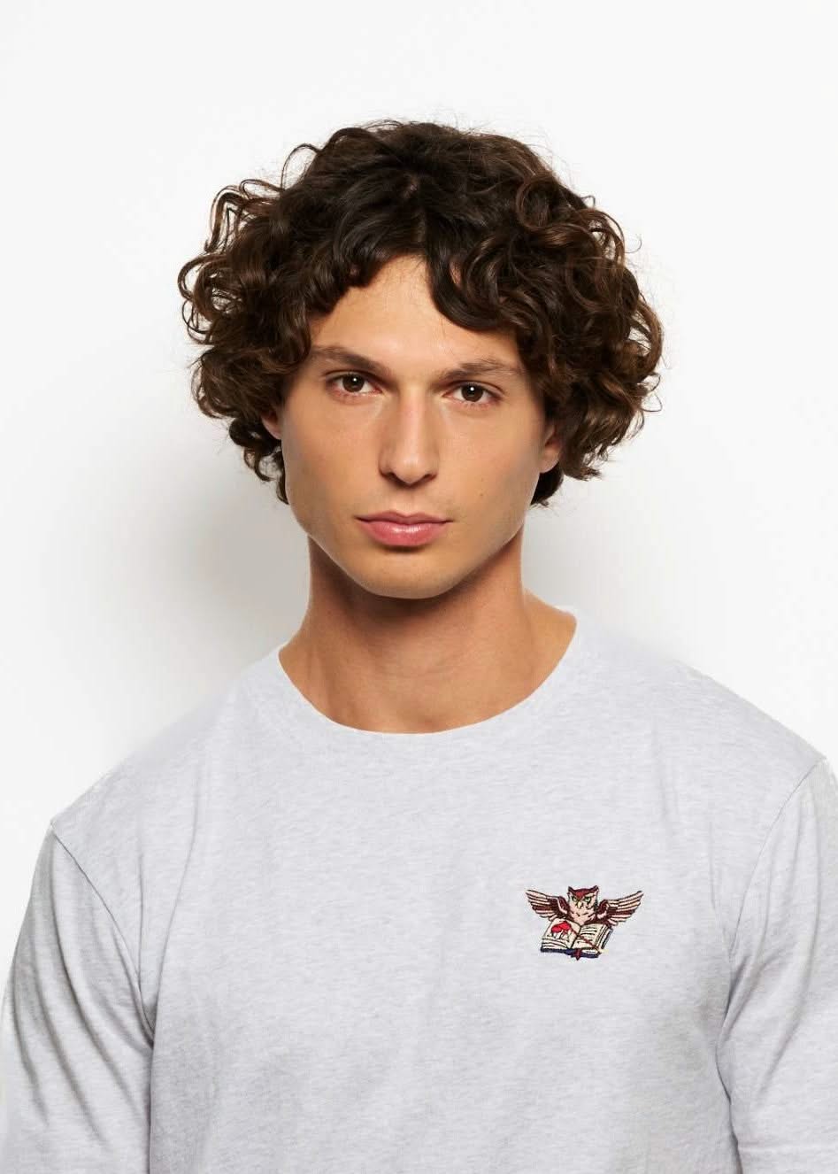 T-shirt fantasy brodé gris clair pour homme avec broderie hibou, photo de tete