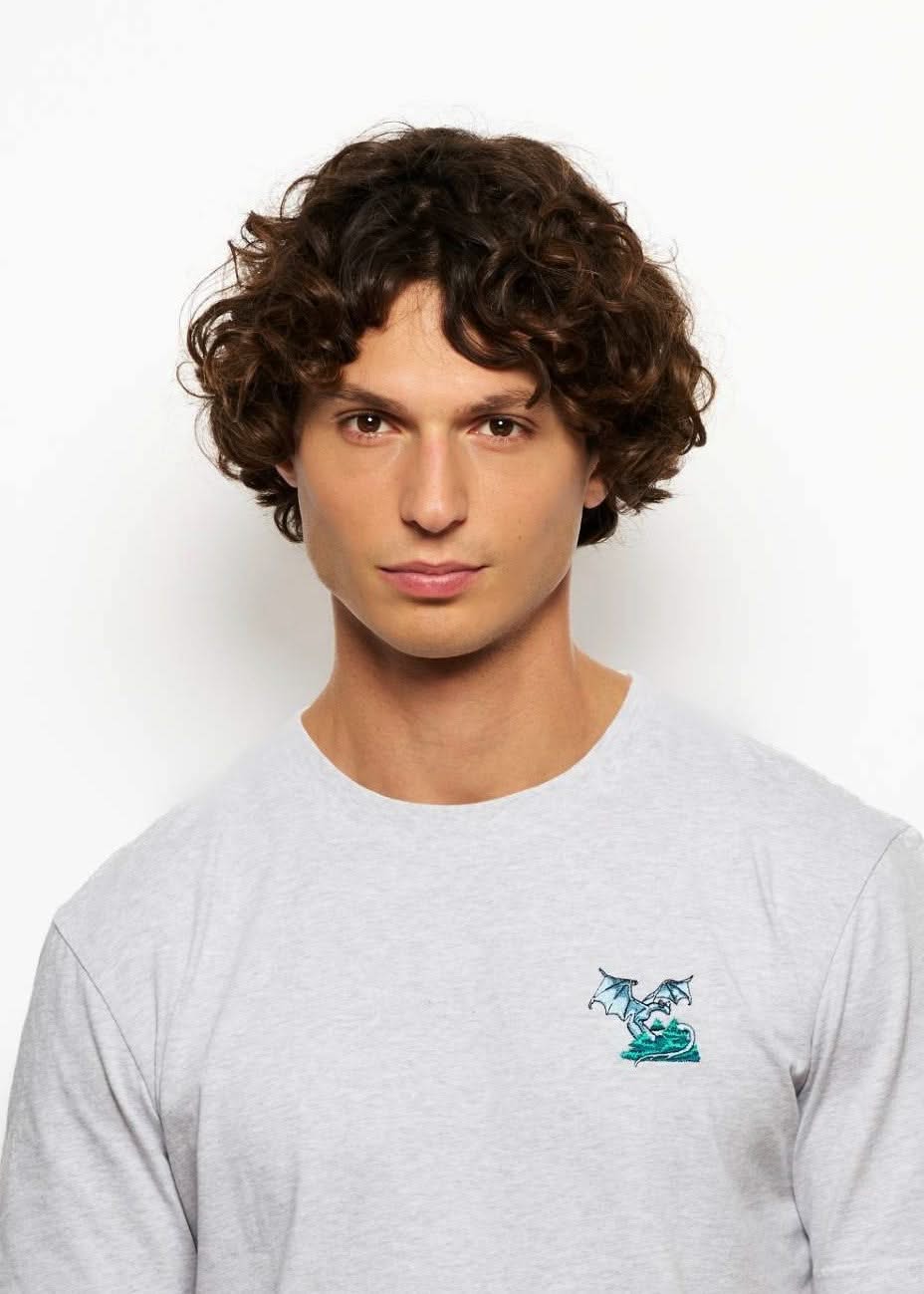 Tee shirt fantasy brode gris pour homme avec broderie dragon, photo de tete