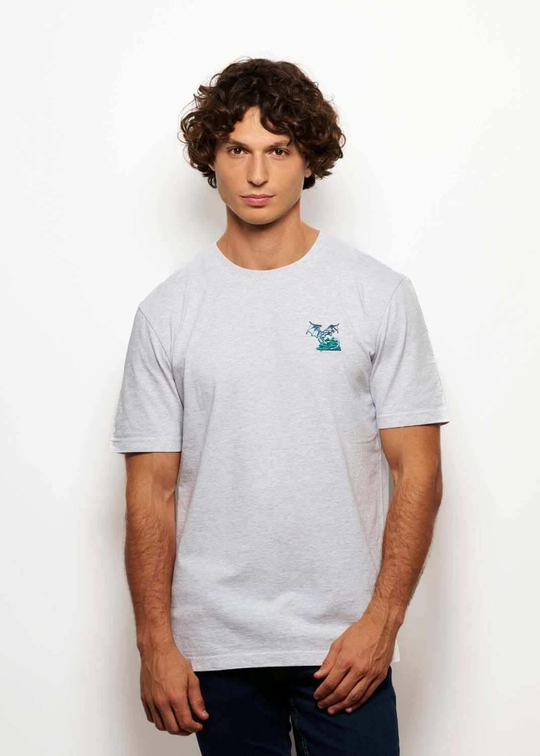Tshirt fantasy brode gris pour homme avec broderie dragon, photo de face