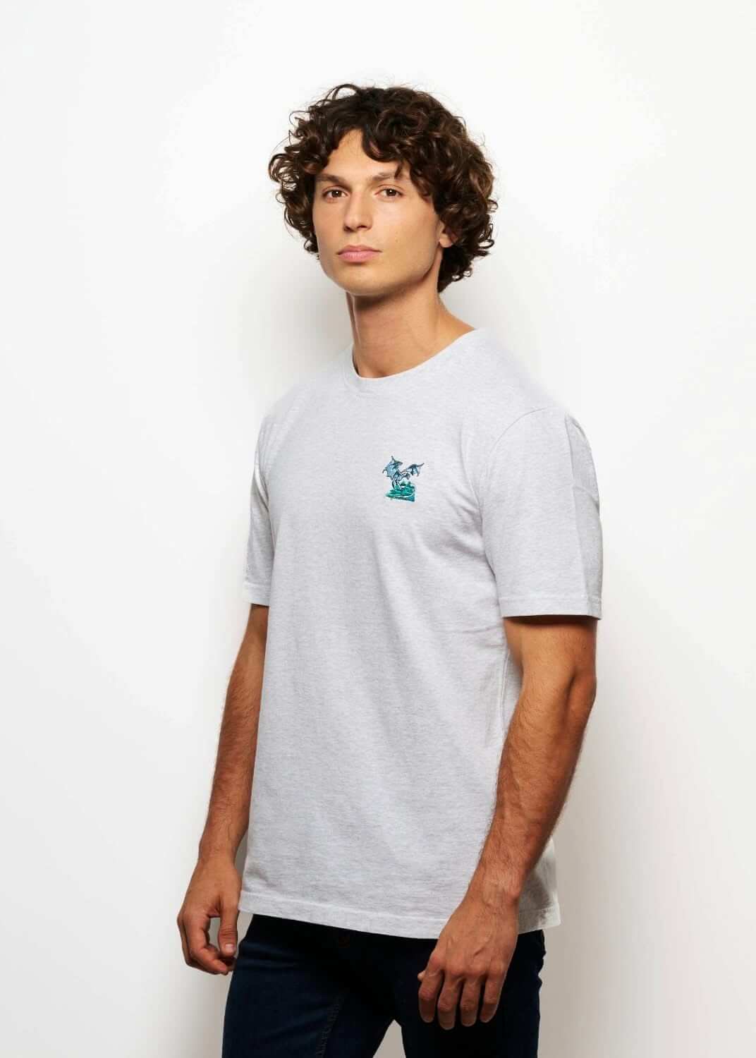 T-shirt fantasy brode gris pour homme avec broderie dragon, photo de profil